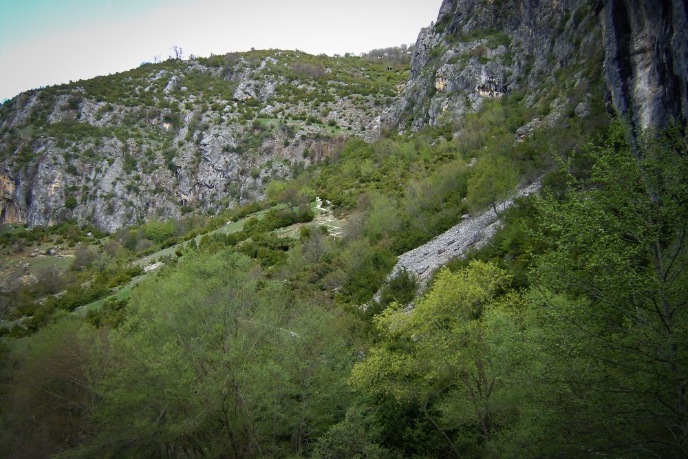 Όρλιακας