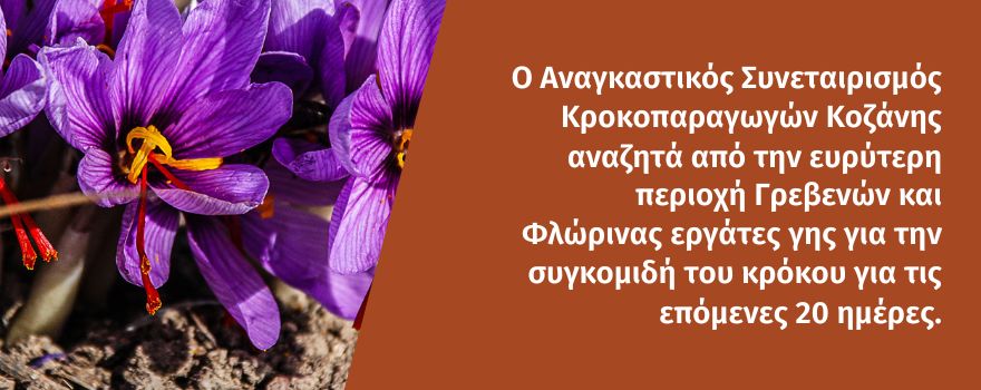 Άμεση ανάγκη για εργάτες γης στον Κρόκο Κοζάνης