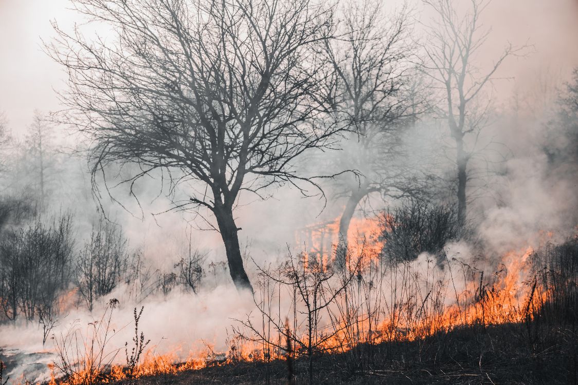 Λήψη μέτρων διασφάλισης της Δημόσιας Υγείας σε περιπτώσεις φυσικών καταστροφών όπως οι πυρκαγιές