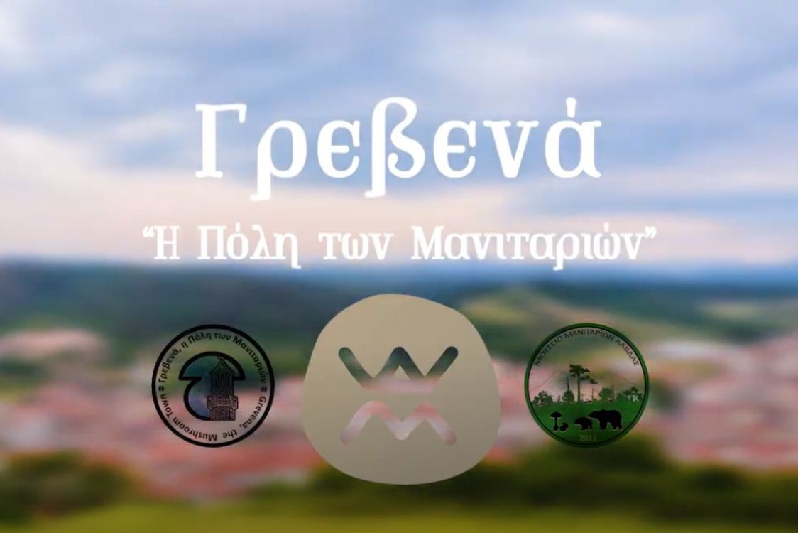Η πόλη των μανιταριών