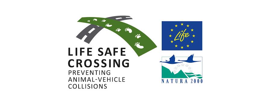 life safe crossing λογότυπο